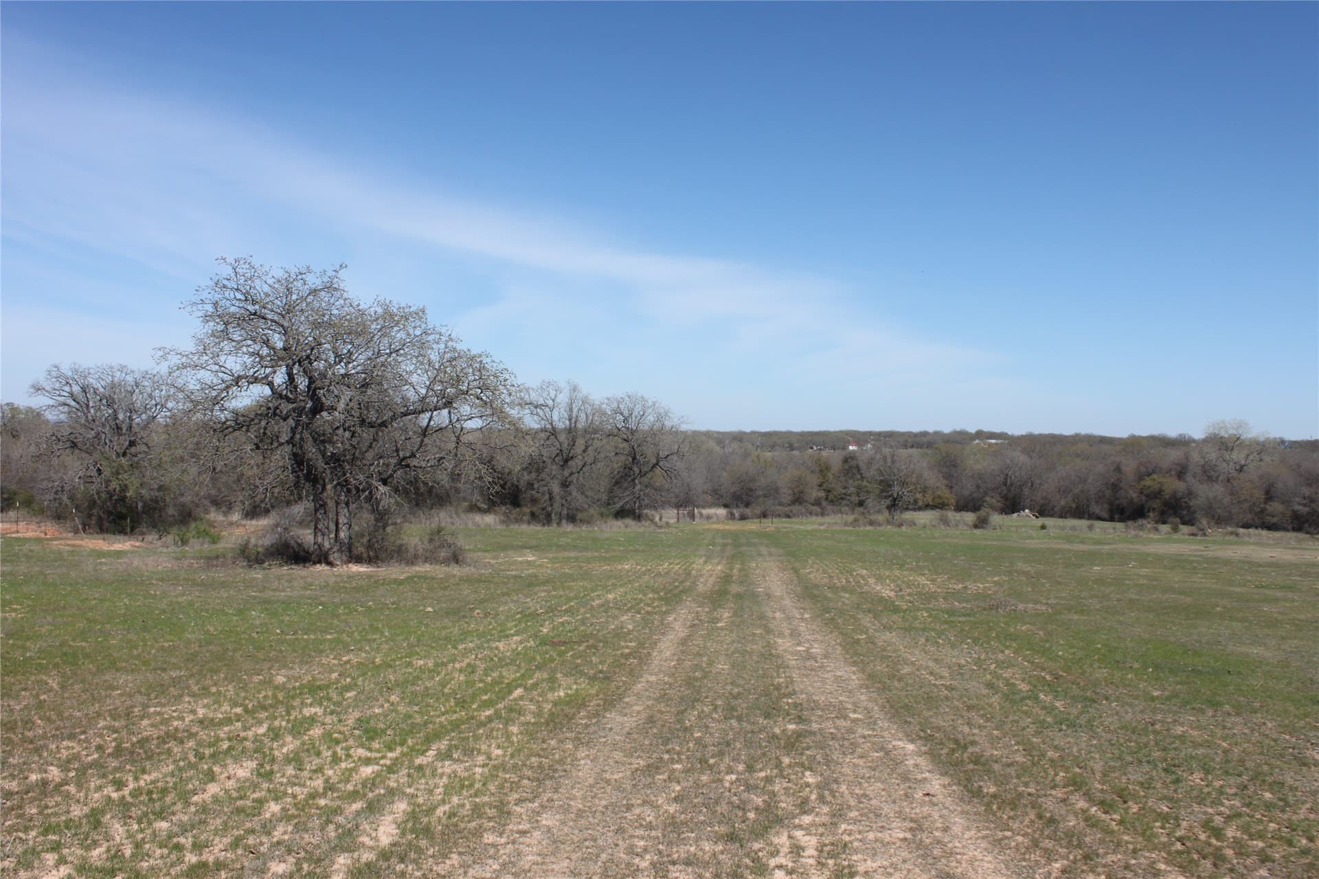 32.42 acres in Wise County - photo 17
