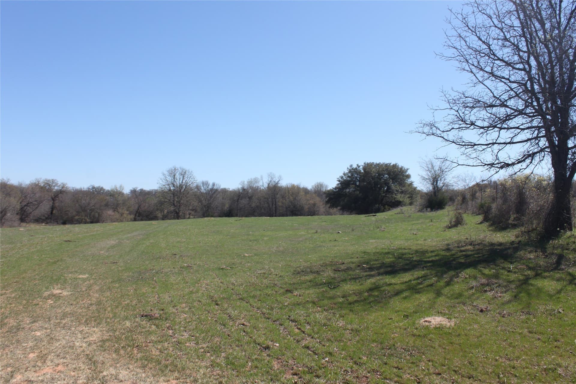 32.42 acres in Wise County - photo 19