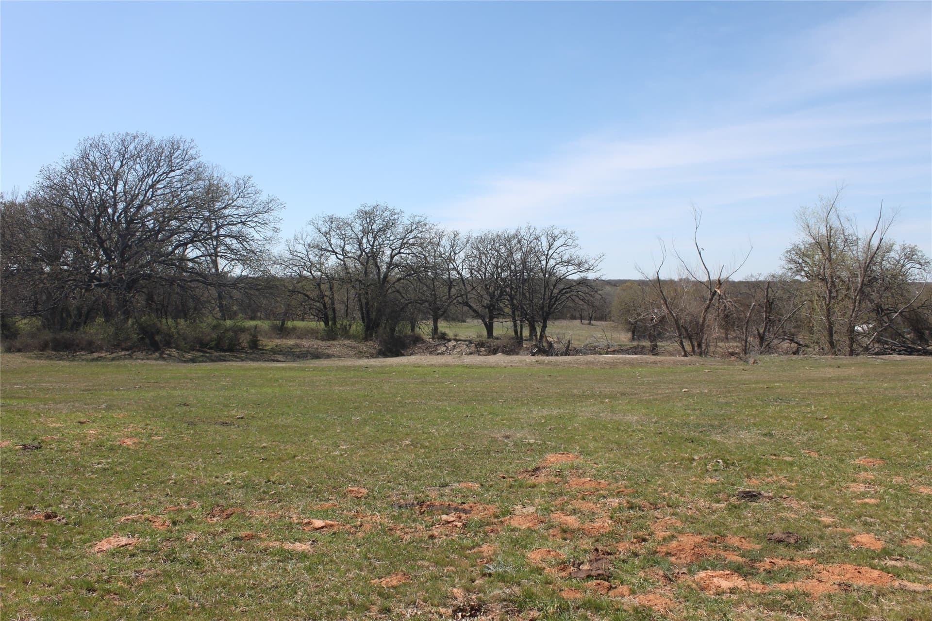 32.42 acres in Wise County - photo 30