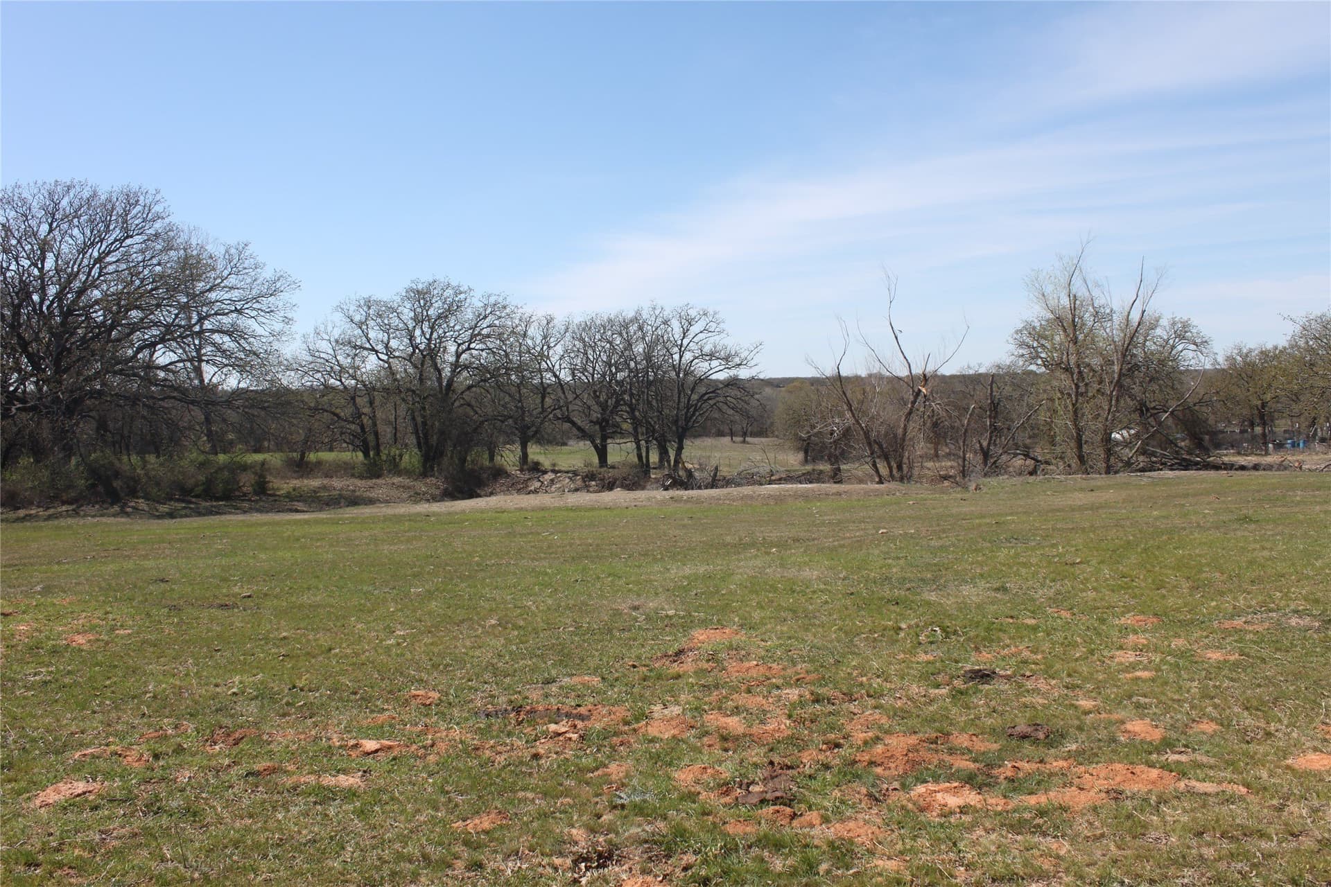 32.42 acres in Wise County - photo 29