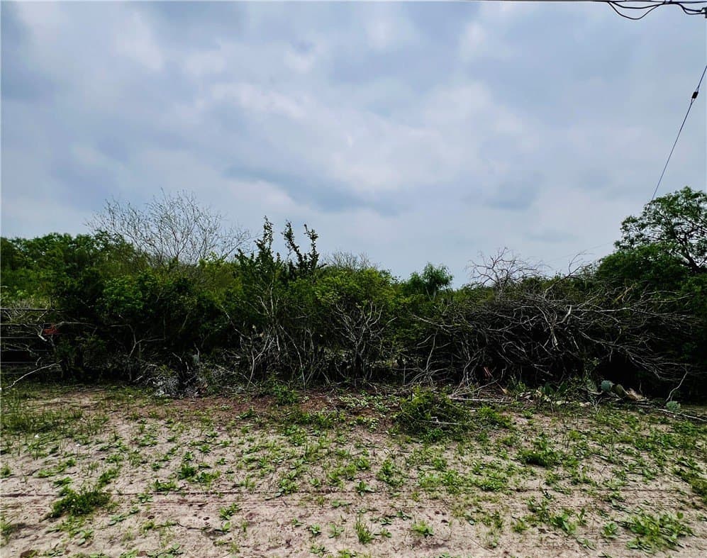 2.29 acres in Jim Wells County