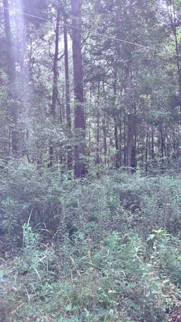 2.88 acres in Texas County - photo 6