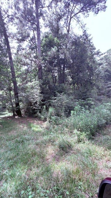 2.88 acres in Texas County - photo 7