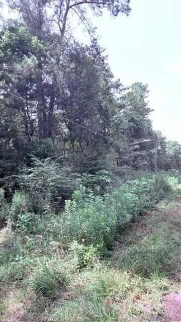 2.88 acres in Texas County gallery image 4