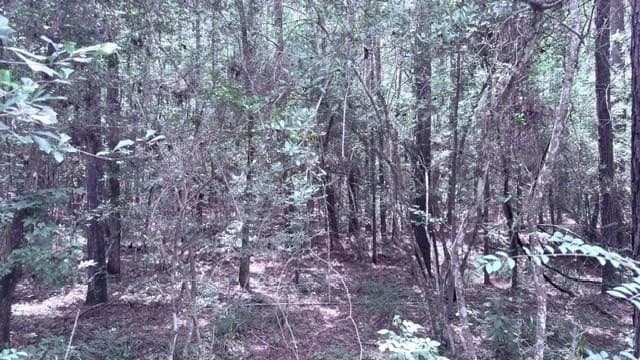 2.88 acres in Texas County