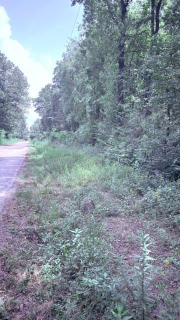 2.88 acres in Texas County - photo 8