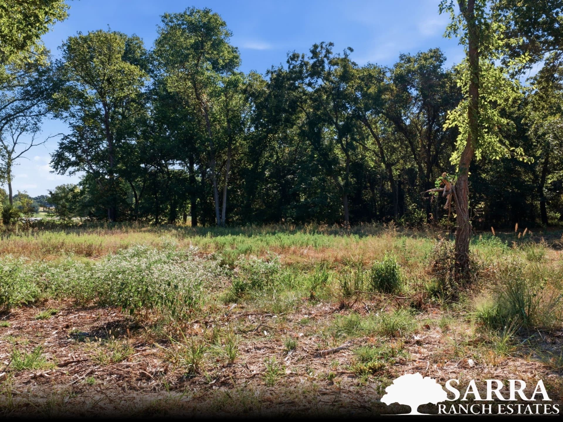 2.02 acres in Parker County - photo 4