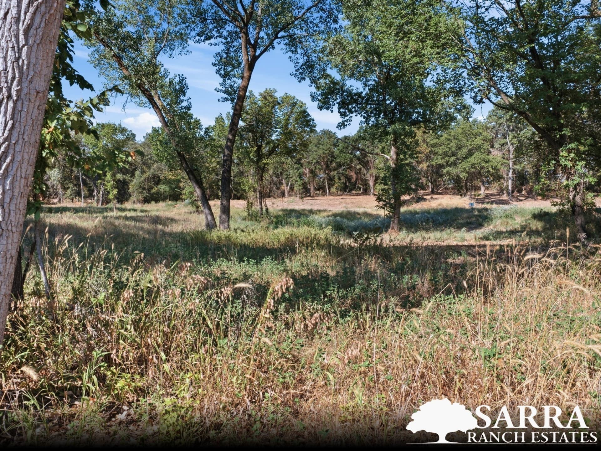 2.02 acres in Parker County - photo 2