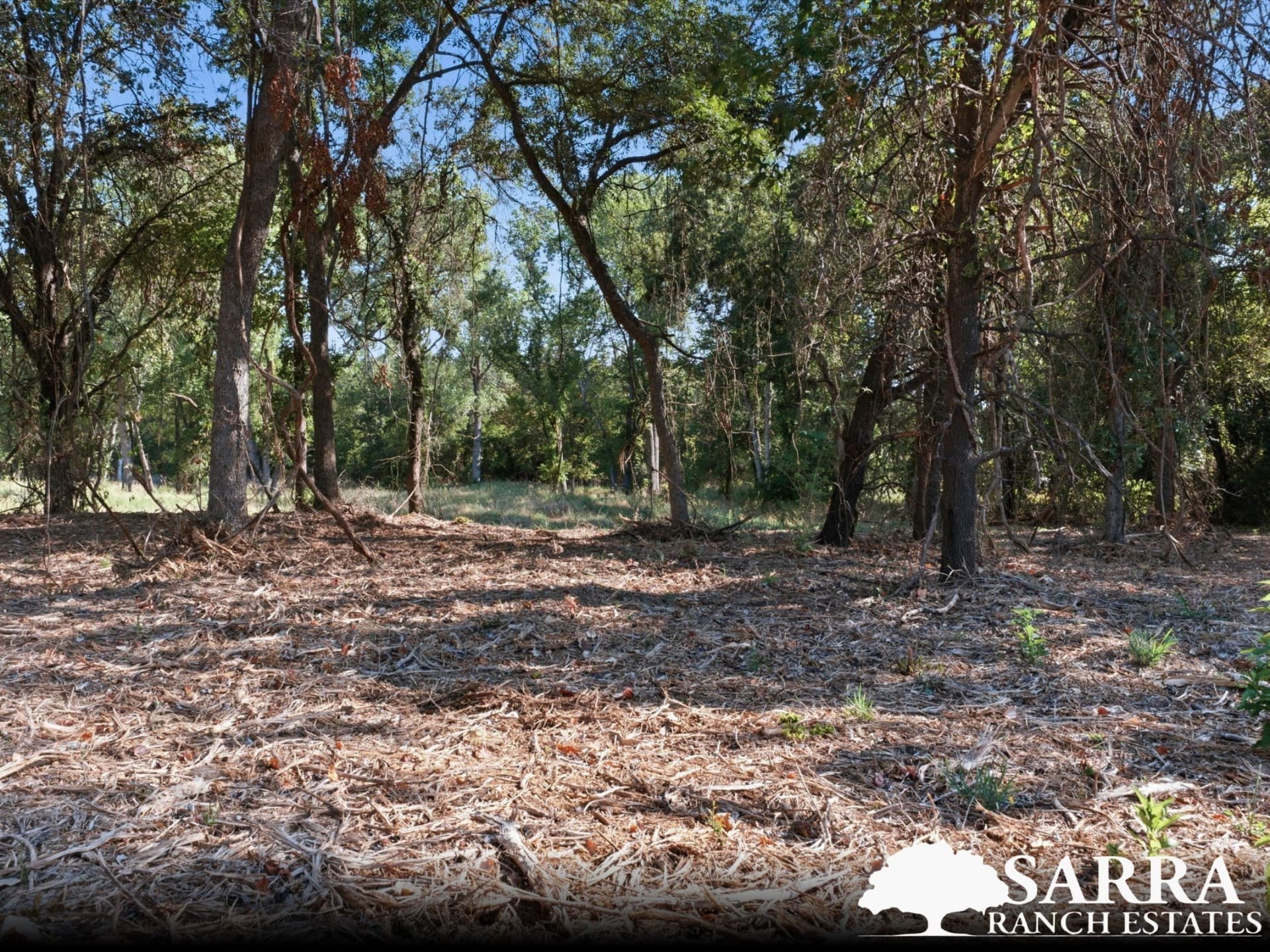 2.02 acres in Parker County - photo 5