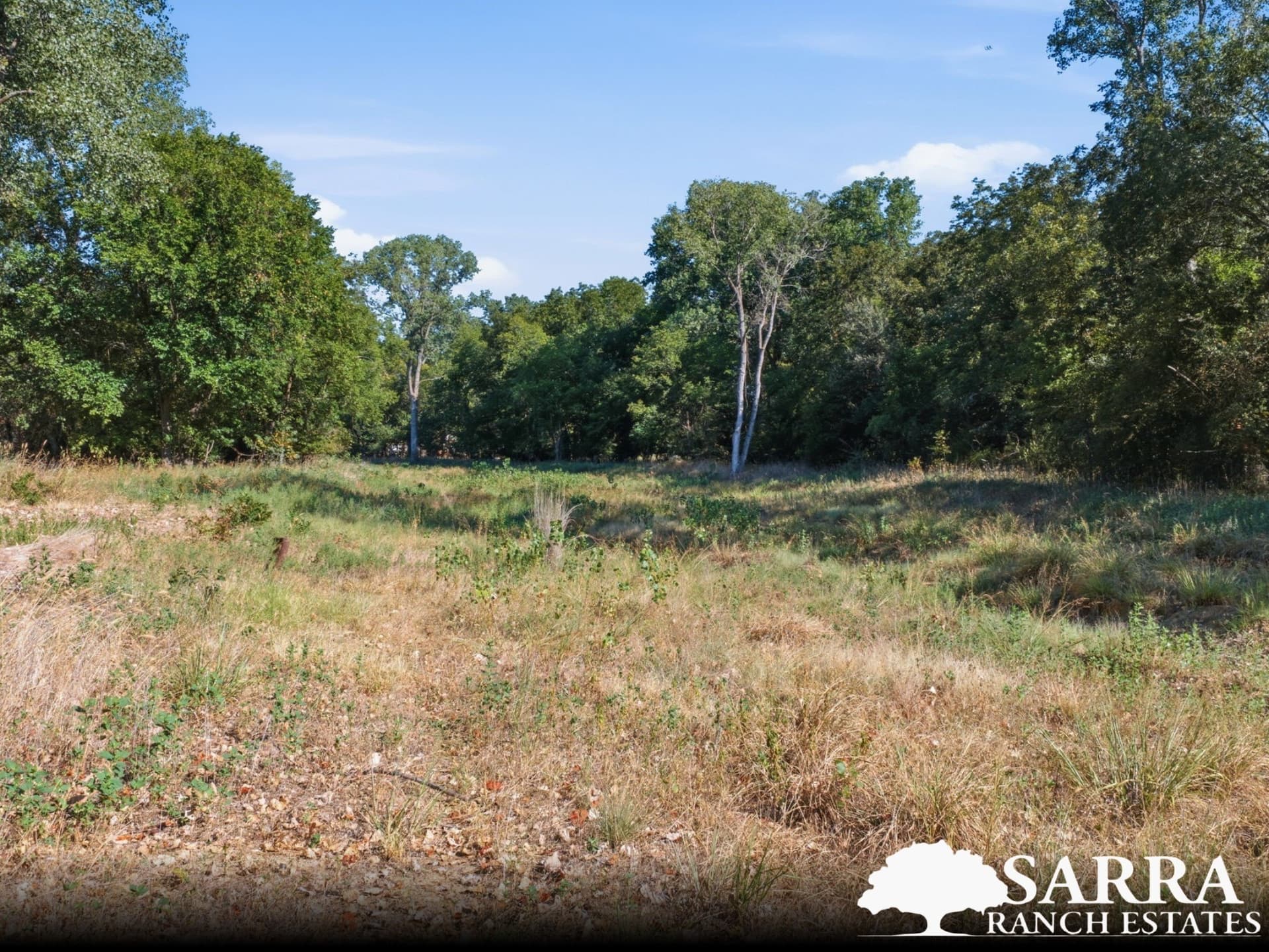 2.02 acres in Parker County - photo 3