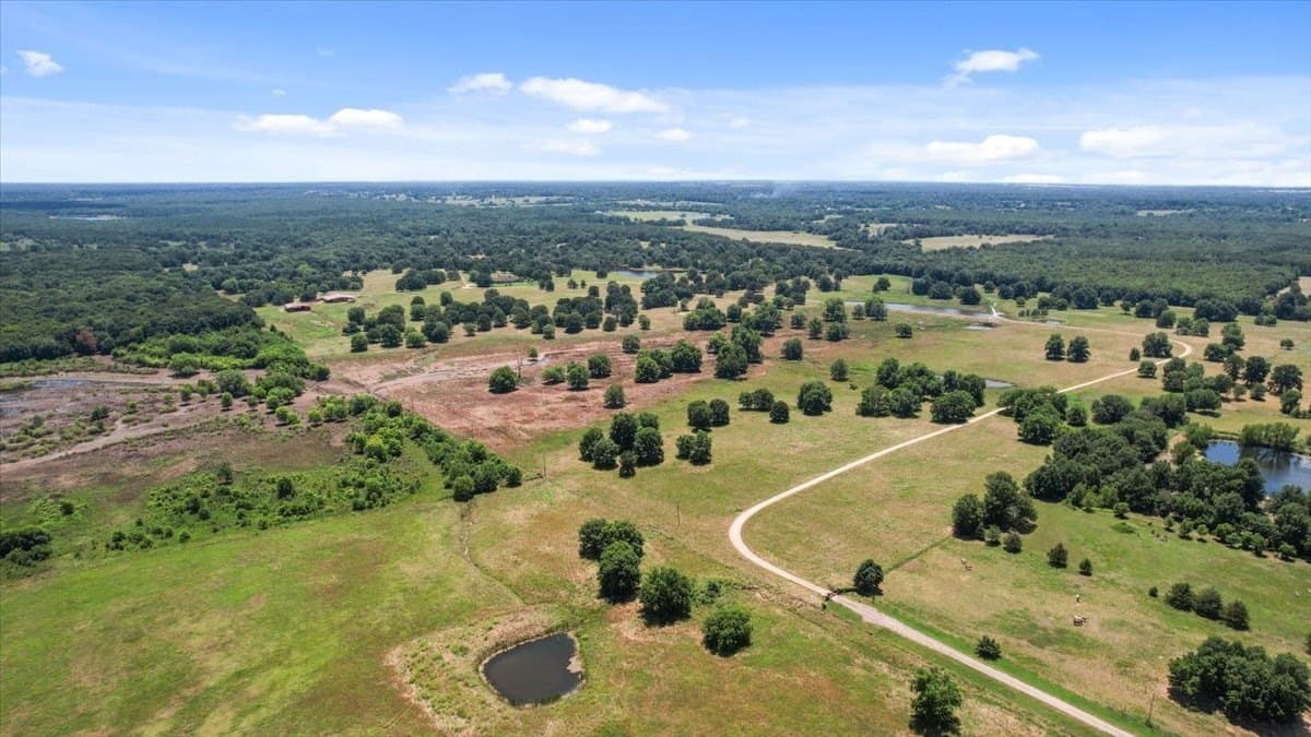292 acres in Lamar County - photo 11