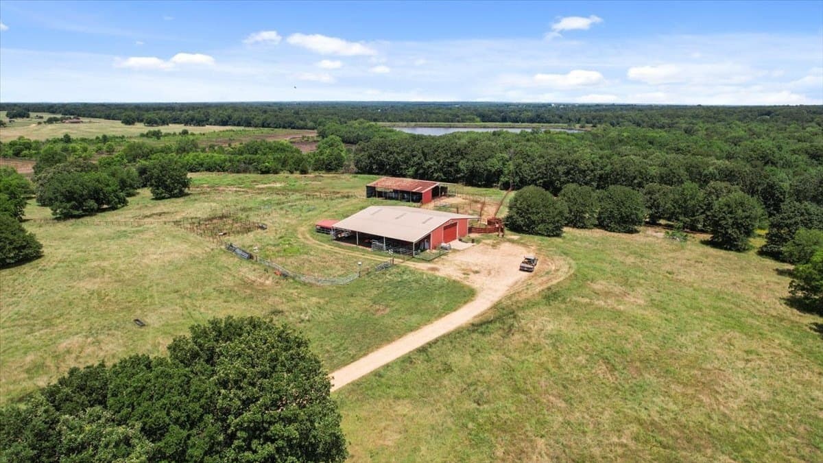 292 acres in Lamar County - photo 9