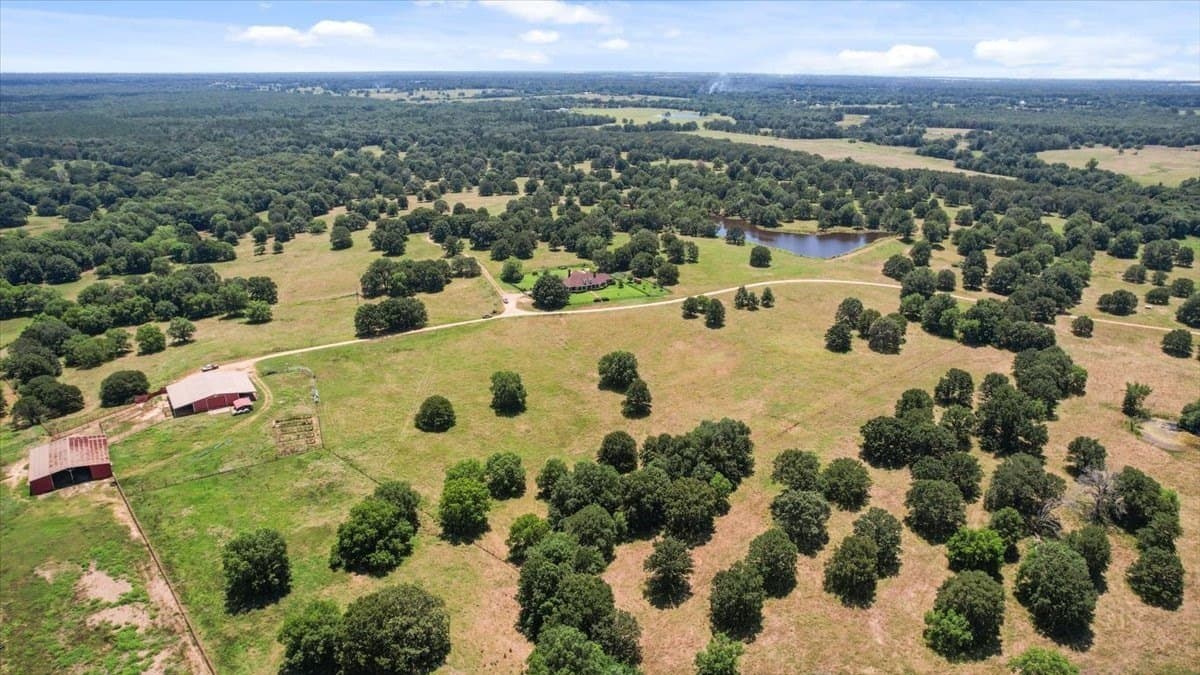 292 acres in Lamar County - photo 12