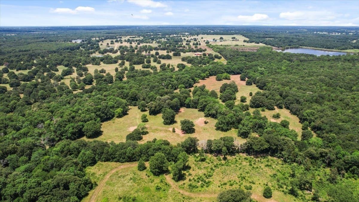 292 acres in Lamar County - photo 14