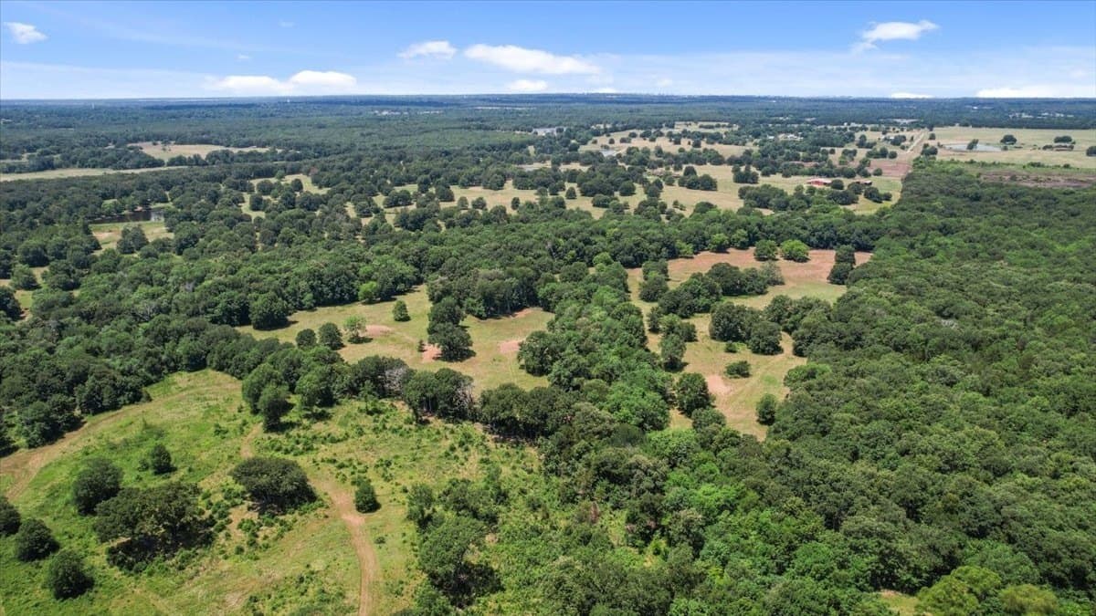 292 acres in Lamar County - photo 13