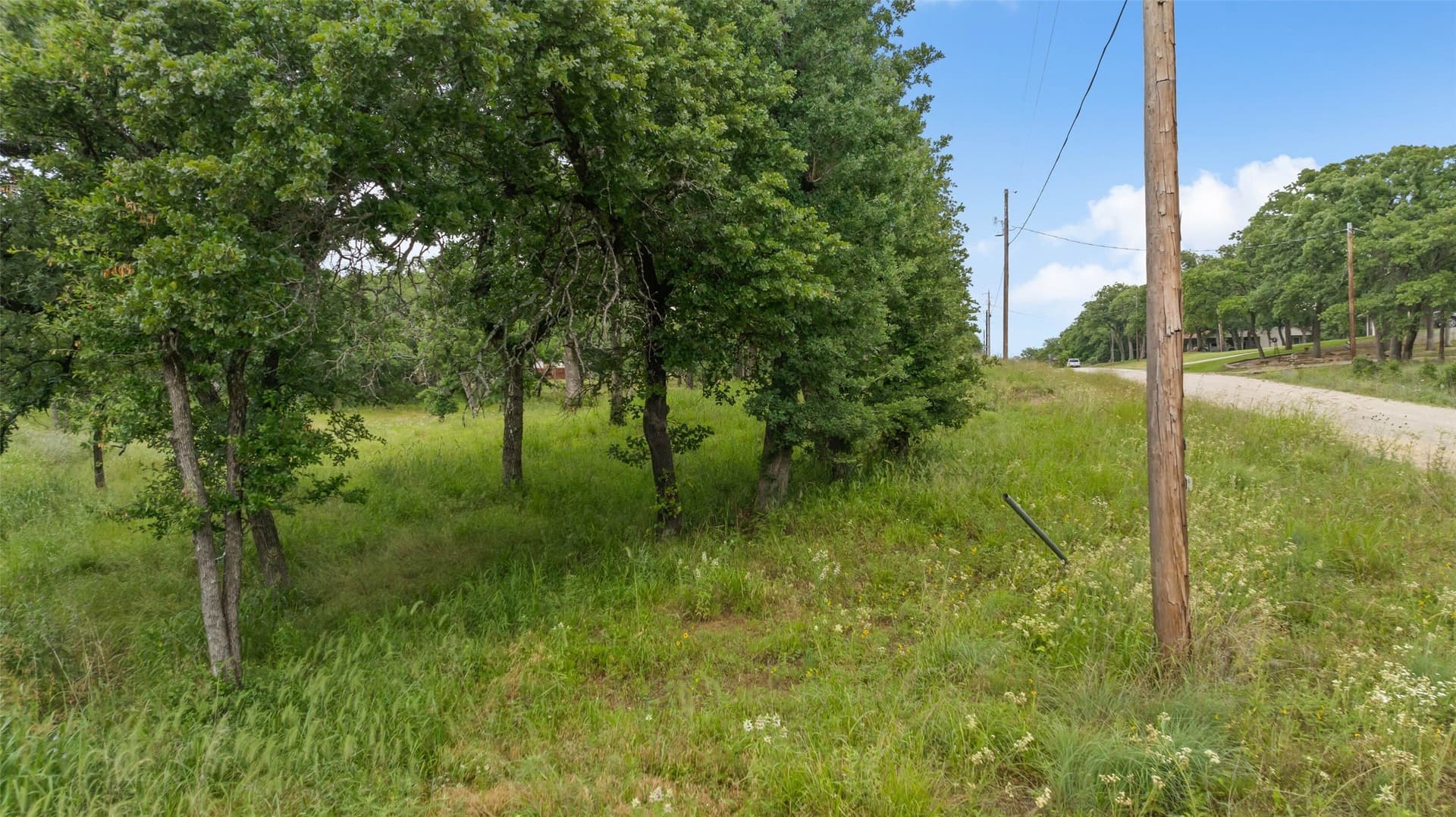 0.29 acres in Montague County - photo 14