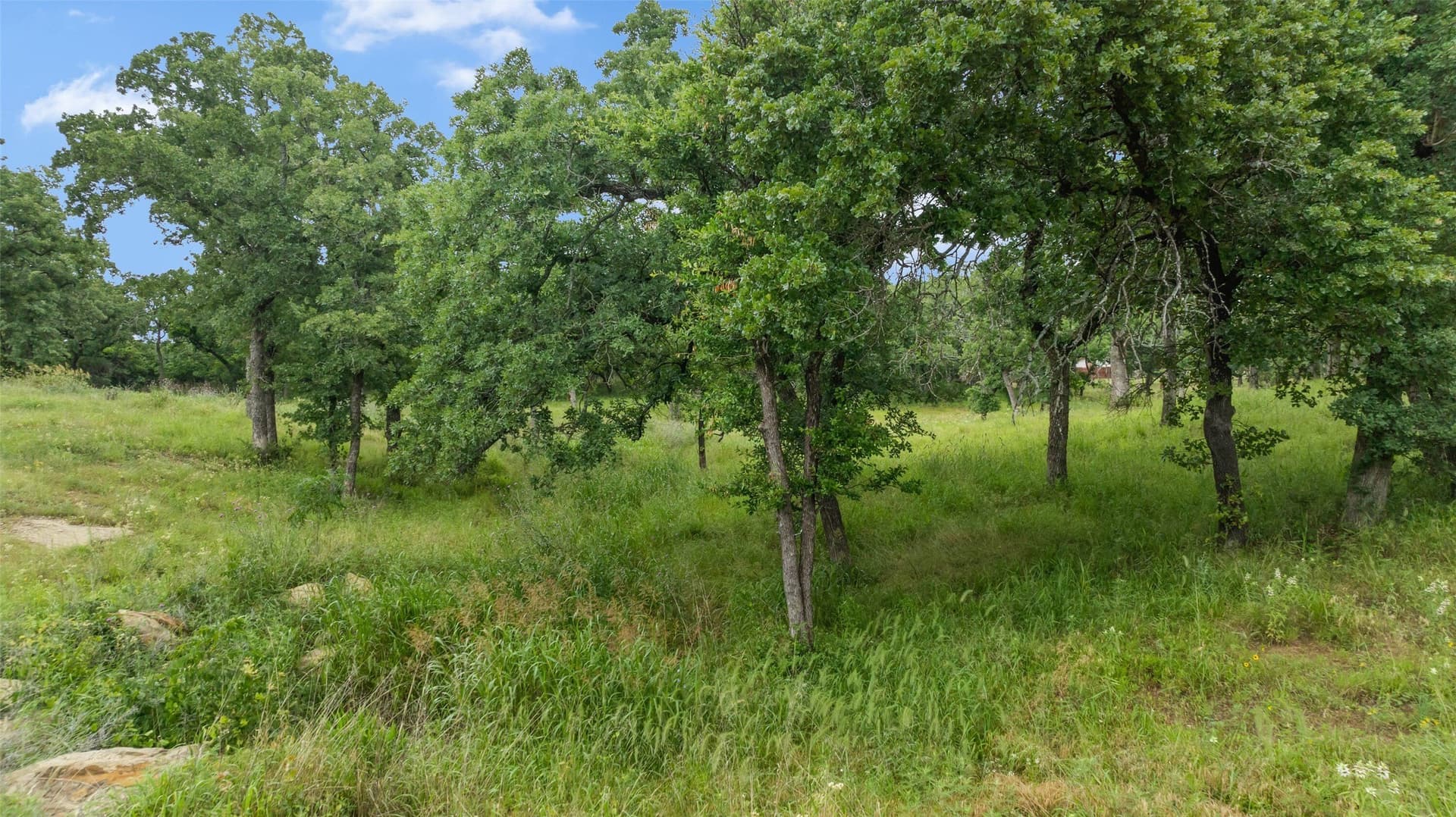 0.29 acres in Montague County - photo 24