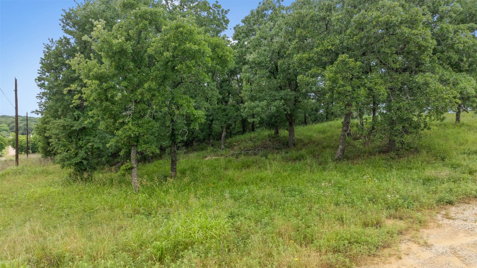0.29 acres in Montague County - photo 15