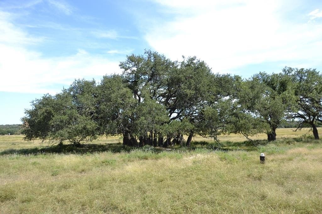 22.59 acres in Gillespie County