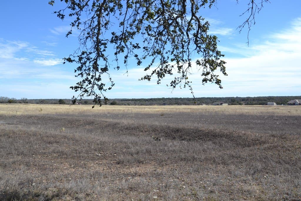 22.59 acres in Gillespie County gallery image 3