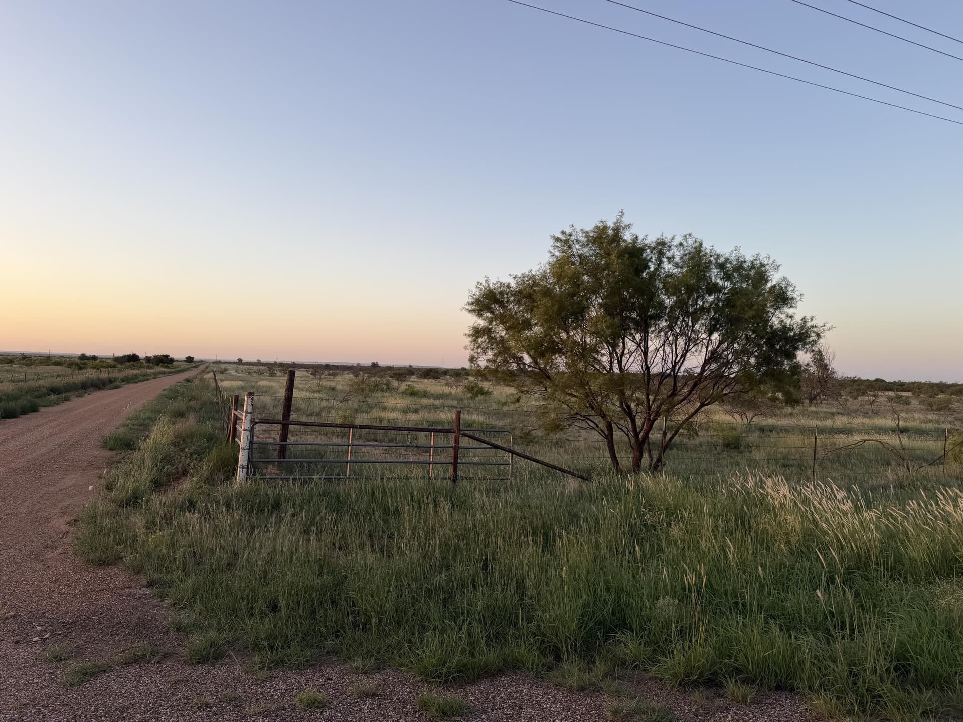 160 acres in Dickens County gallery image 3