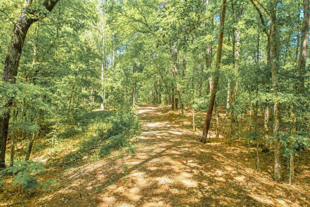 14.08 acres in Texas County - photo 19