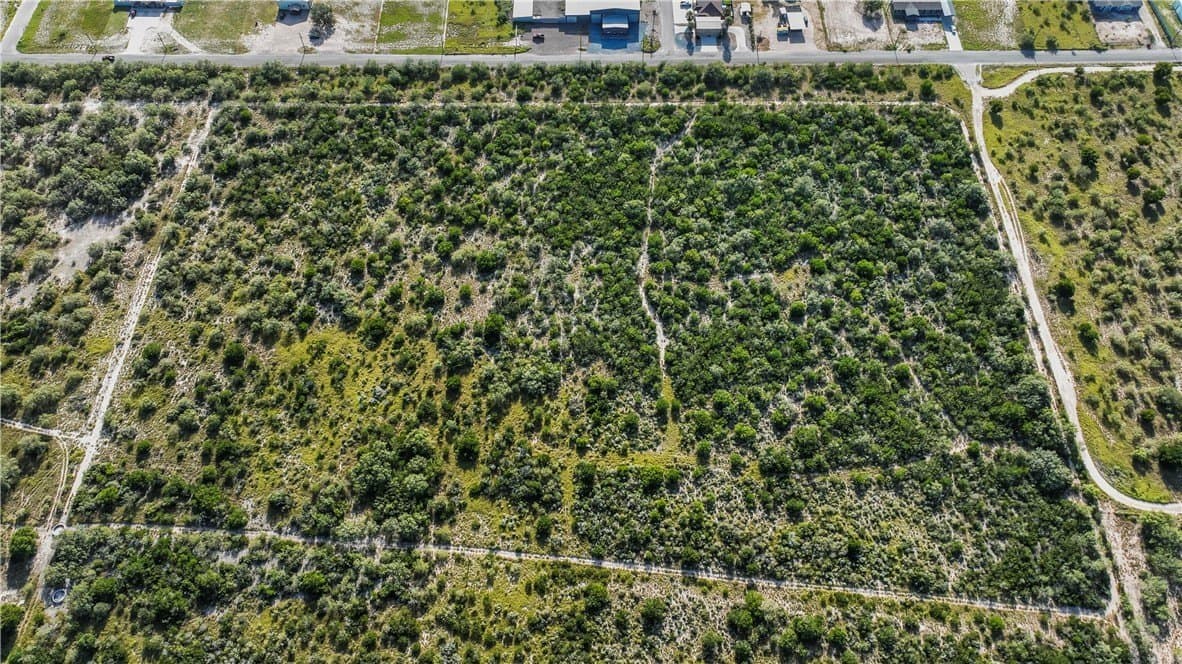 10 acres in Starr County - photo 14