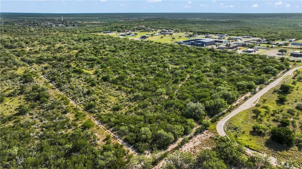 10 acres in Starr County - photo 13