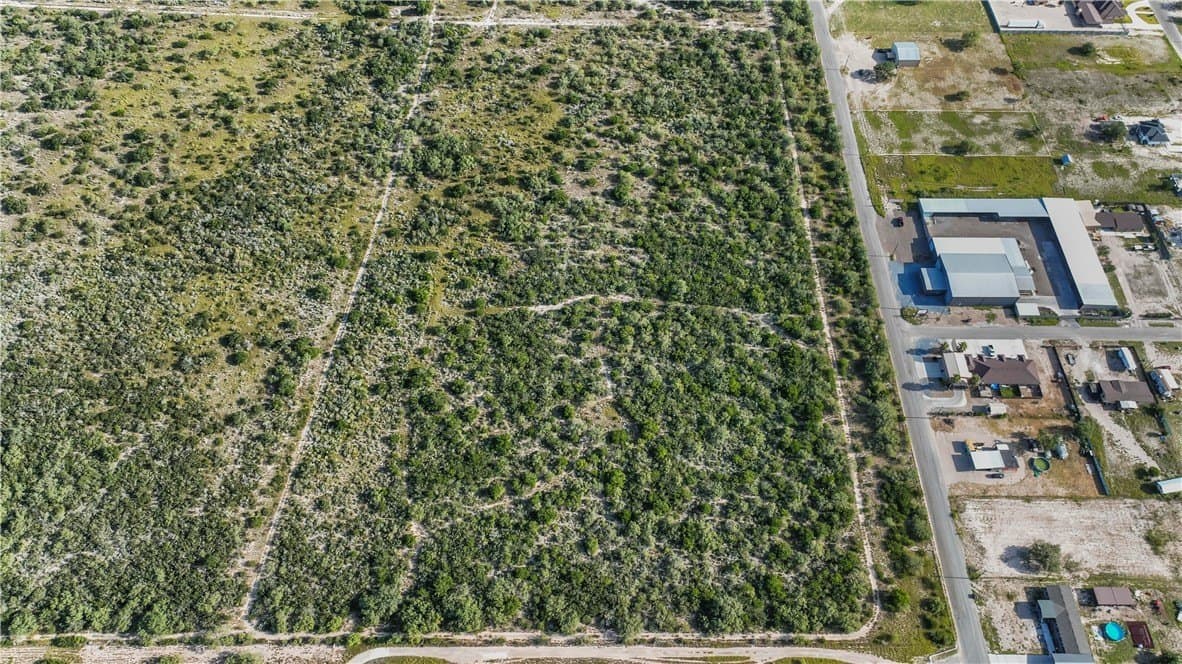 10 acres in Starr County - photo 15