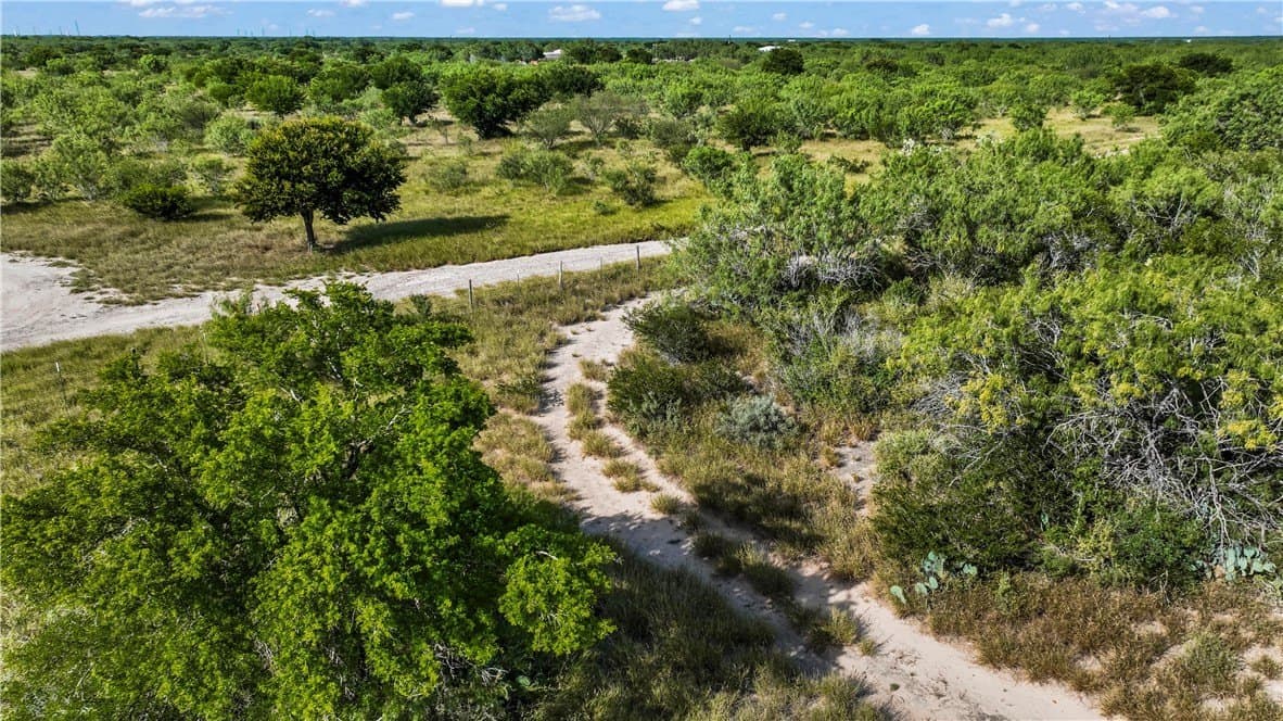 10 acres in Starr County - photo 6