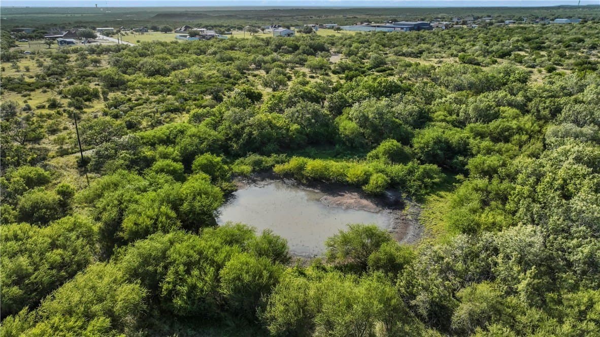 10 acres in Starr County - photo 9