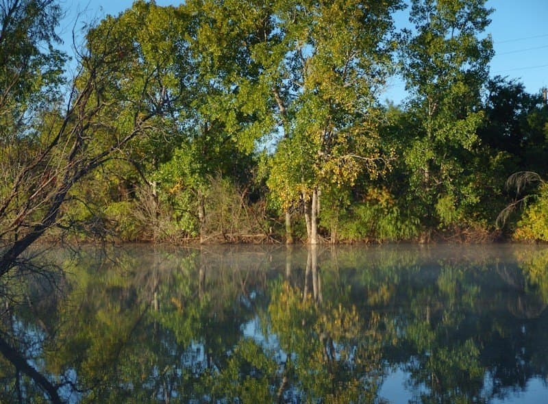 126.16 acres in Taylor County - photo 23