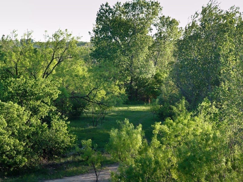 126.16 acres in Taylor County - photo 8