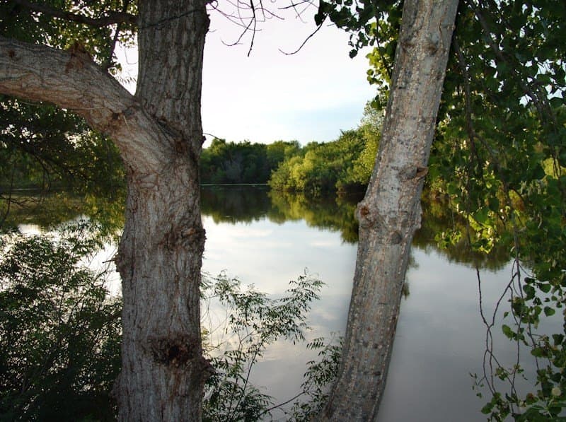 126.16 acres in Taylor County - photo 2