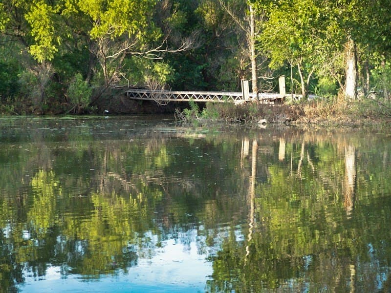 126.16 acres in Taylor County - photo 16