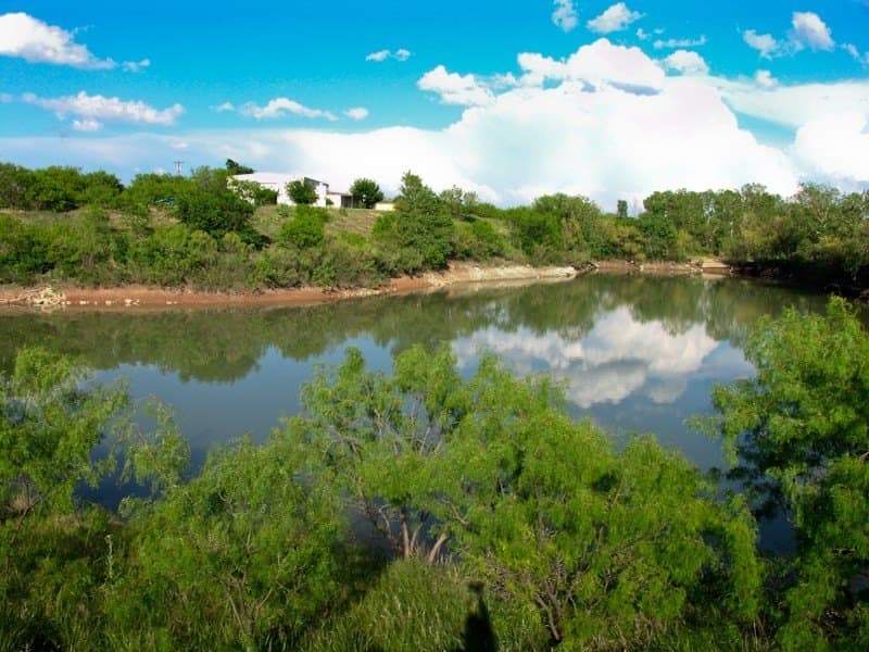 126.16 acres in Taylor County - photo 9