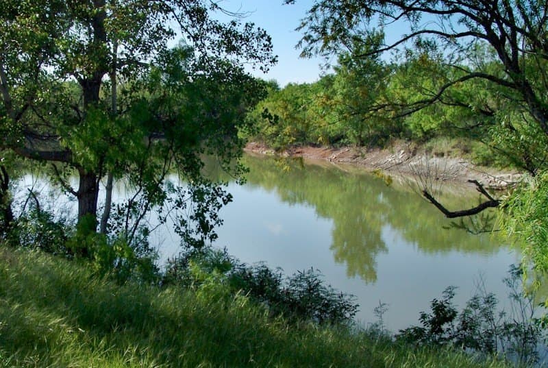 126.16 acres in Taylor County - photo 3