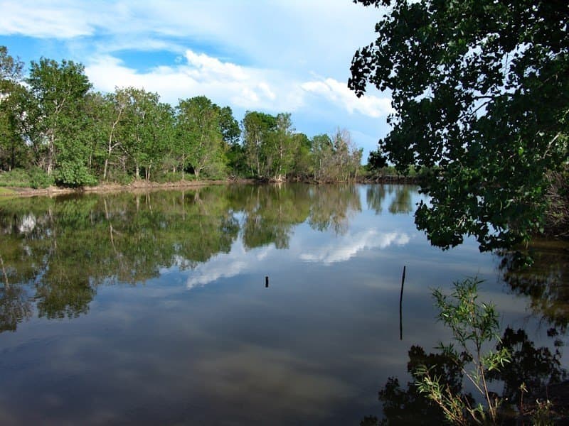 126.16 acres in Taylor County - photo 10