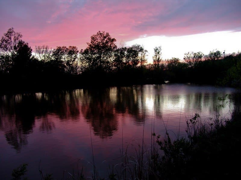 126.16 acres in Taylor County - photo 5