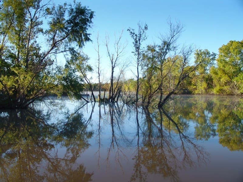 126.16 acres in Taylor County - photo 27