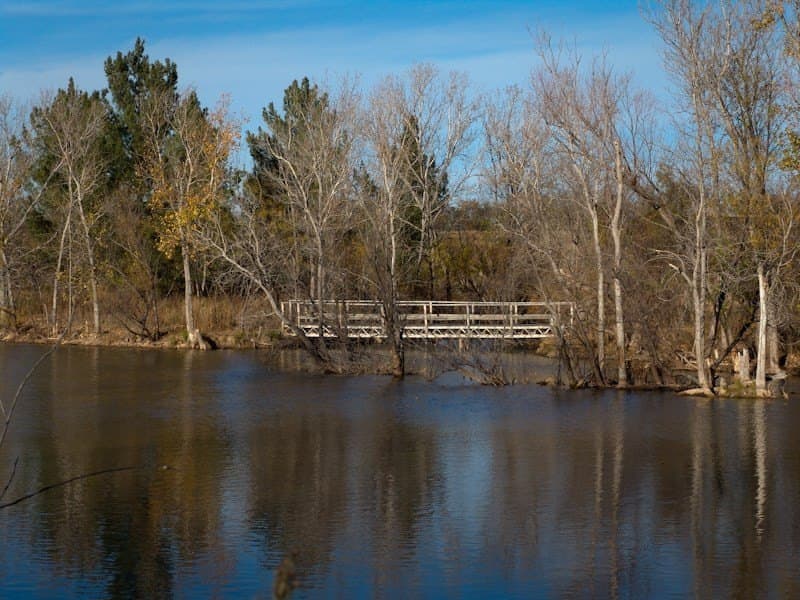 126.16 acres in Taylor County - photo 32