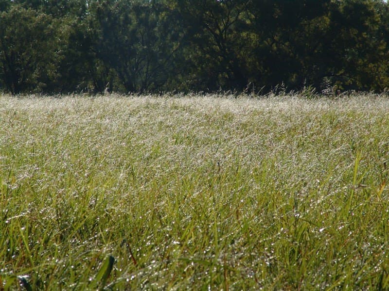 126.16 acres in Taylor County - photo 31