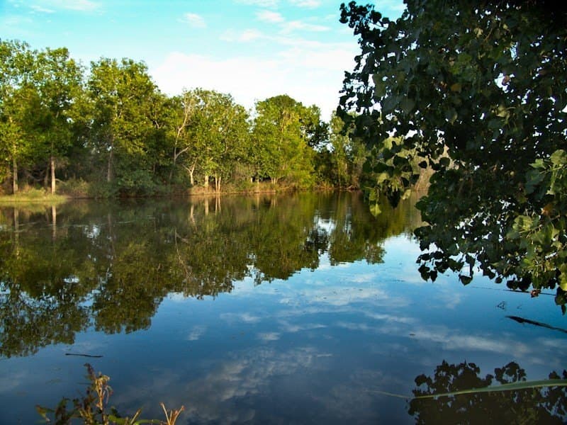 126.16 acres in Taylor County - photo 18