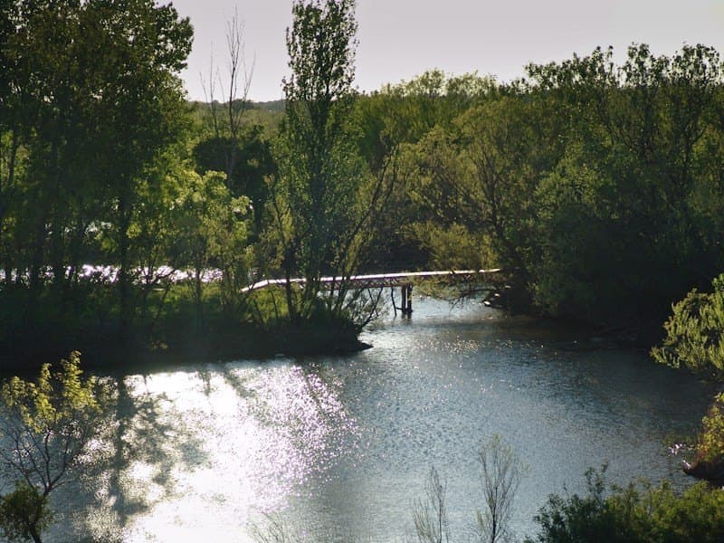 126.16 acres in Taylor County - photo 7