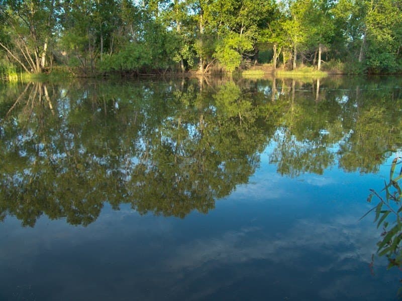 126.16 acres in Taylor County - photo 17