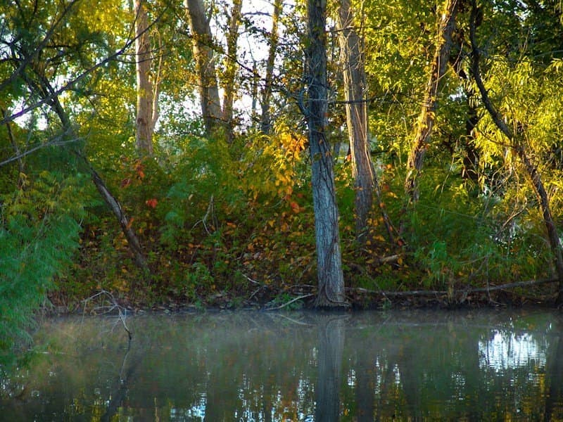 126.16 acres in Taylor County - photo 28