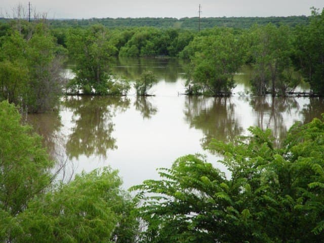 126.16 acres in Taylor County - photo 4