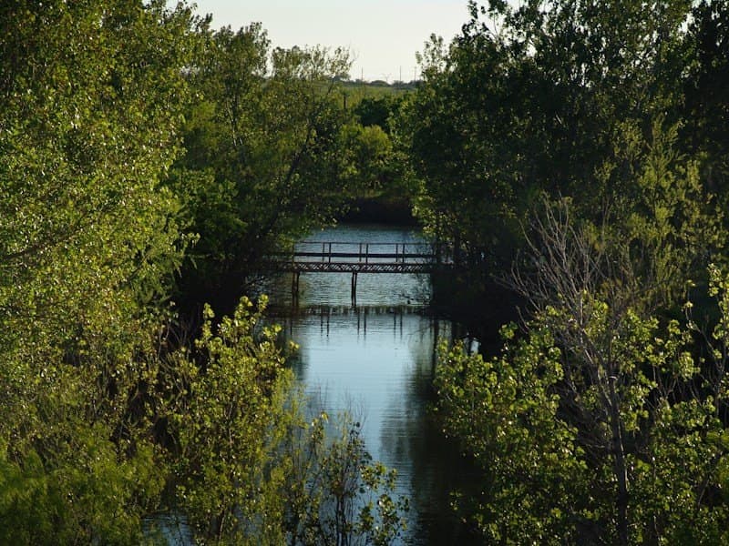126.16 acres in Taylor County - photo 6