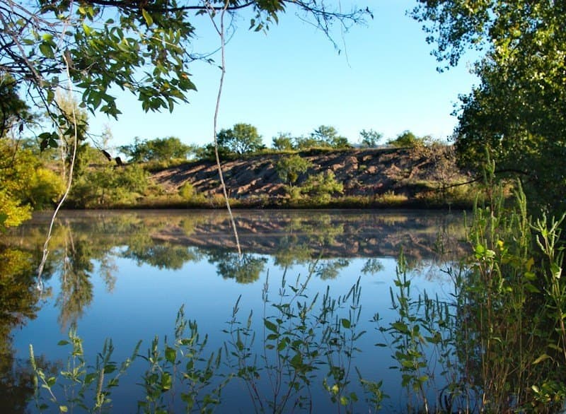 126.16 acres in Taylor County - photo 29