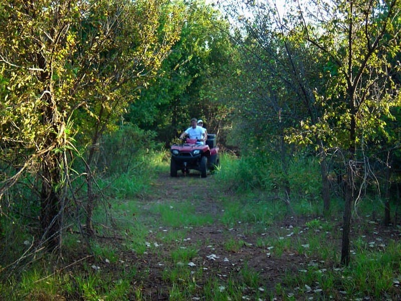 126.16 acres in Taylor County - photo 33